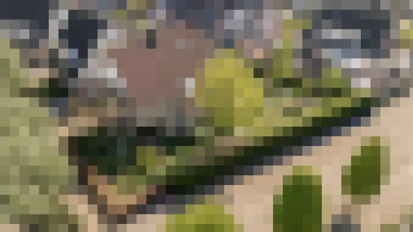 Wilgenhof 34 Giessen thumbnail 46
