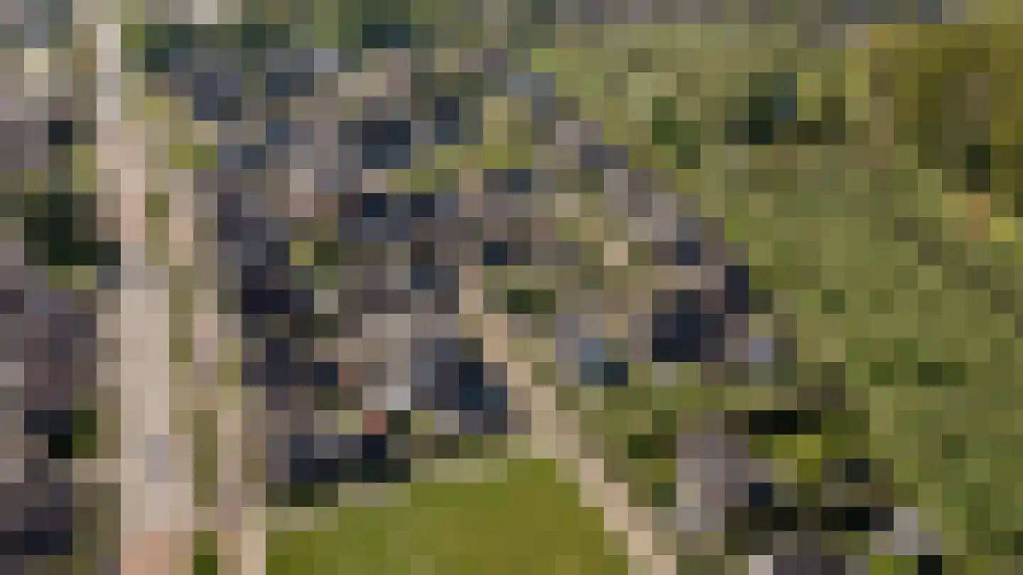 Wilgenhof 34 Giessen thumbnail 47