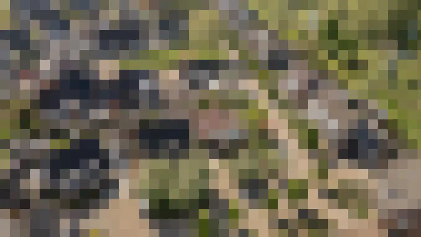 Wilgenhof 34 Giessen thumbnail 48