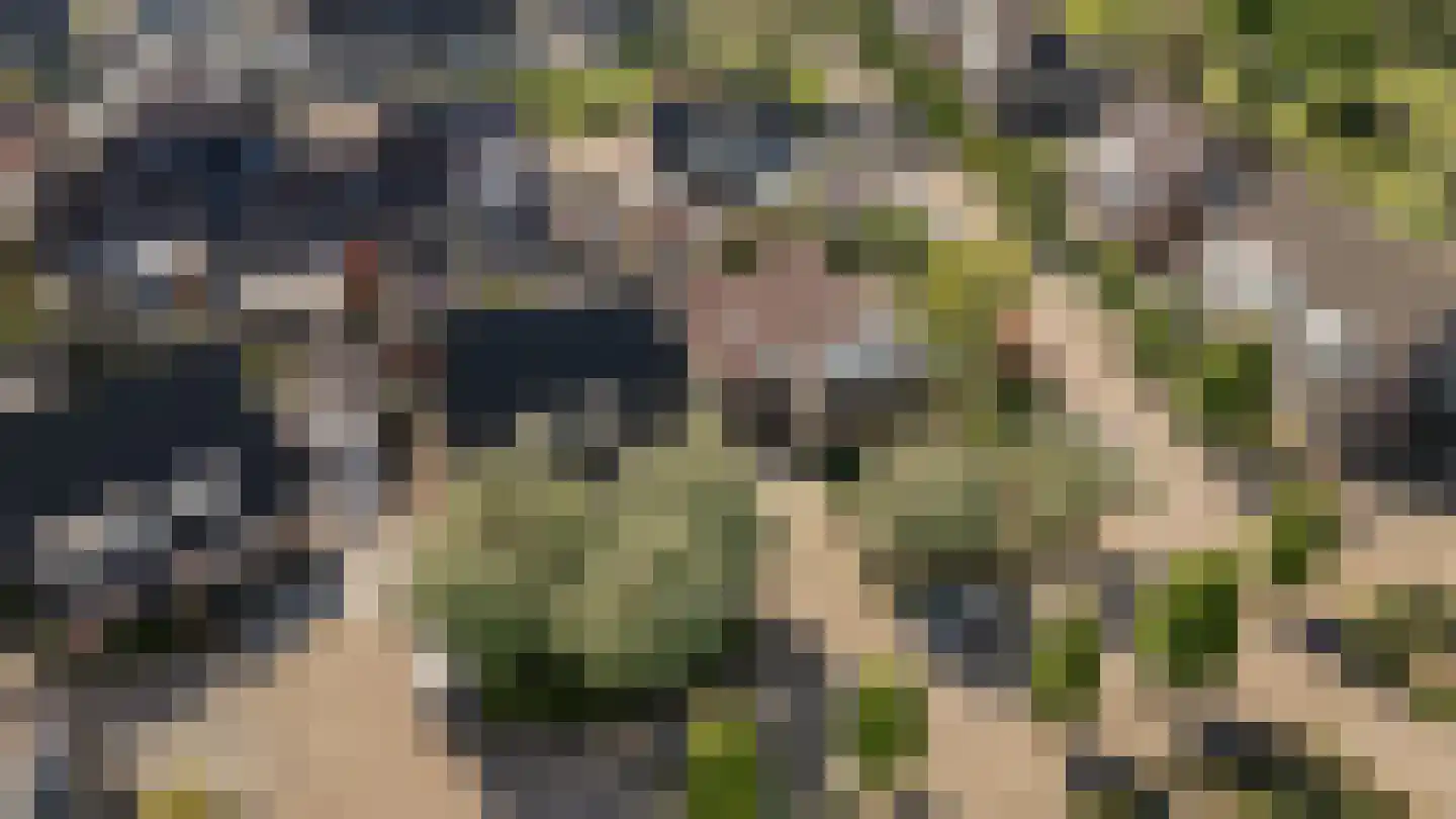 Wilgenhof 34 Giessen thumbnail 49