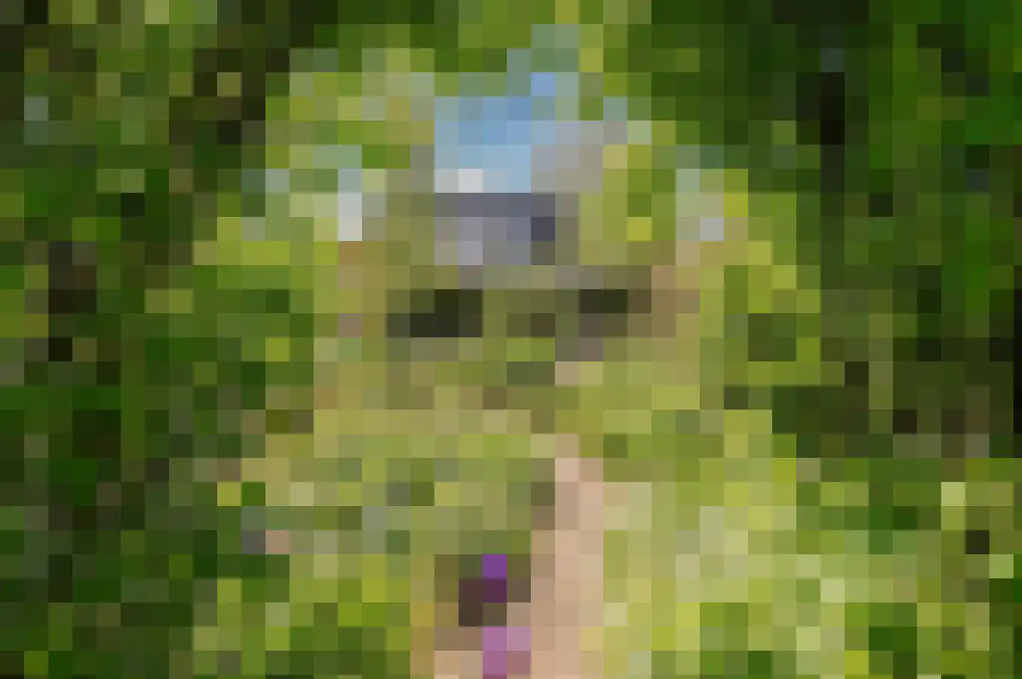 Wilgenhof 34 Giessen thumbnail 5