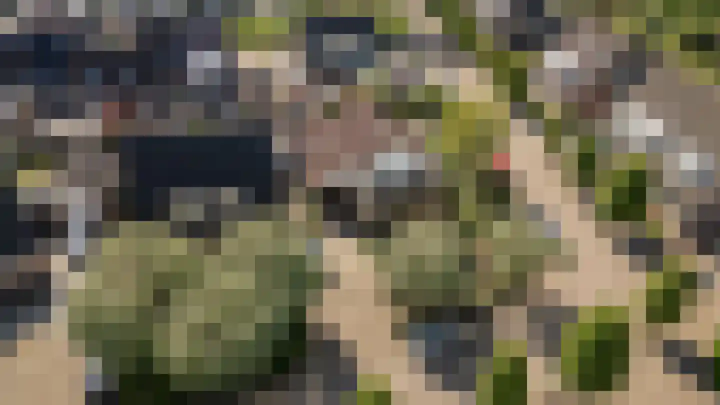 Wilgenhof 34 Giessen thumbnail 50