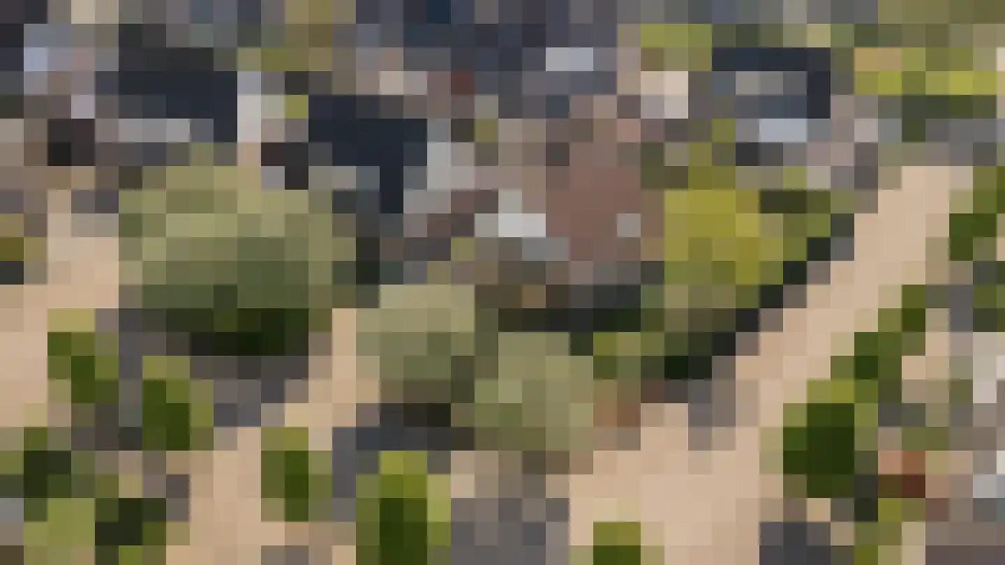 Wilgenhof 34 Giessen thumbnail 51