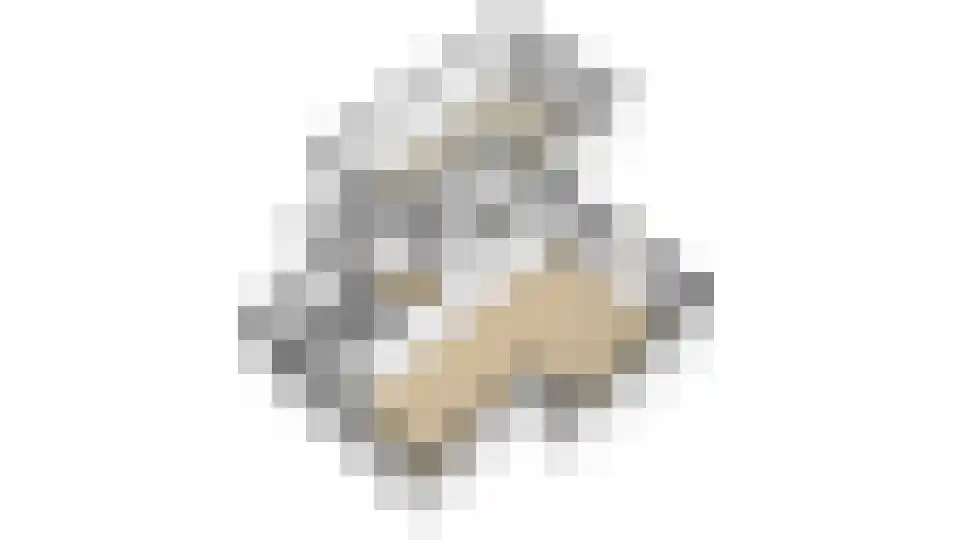 Wilgenhof 34 Giessen thumbnail 53