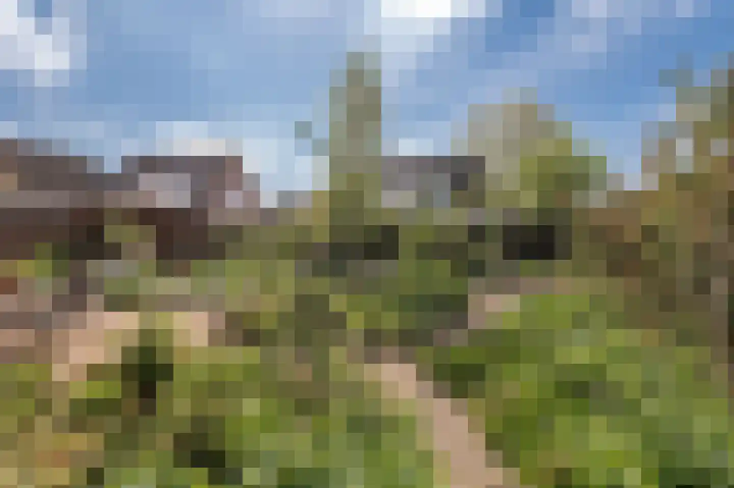 Wilgenhof 34 Giessen thumbnail 6