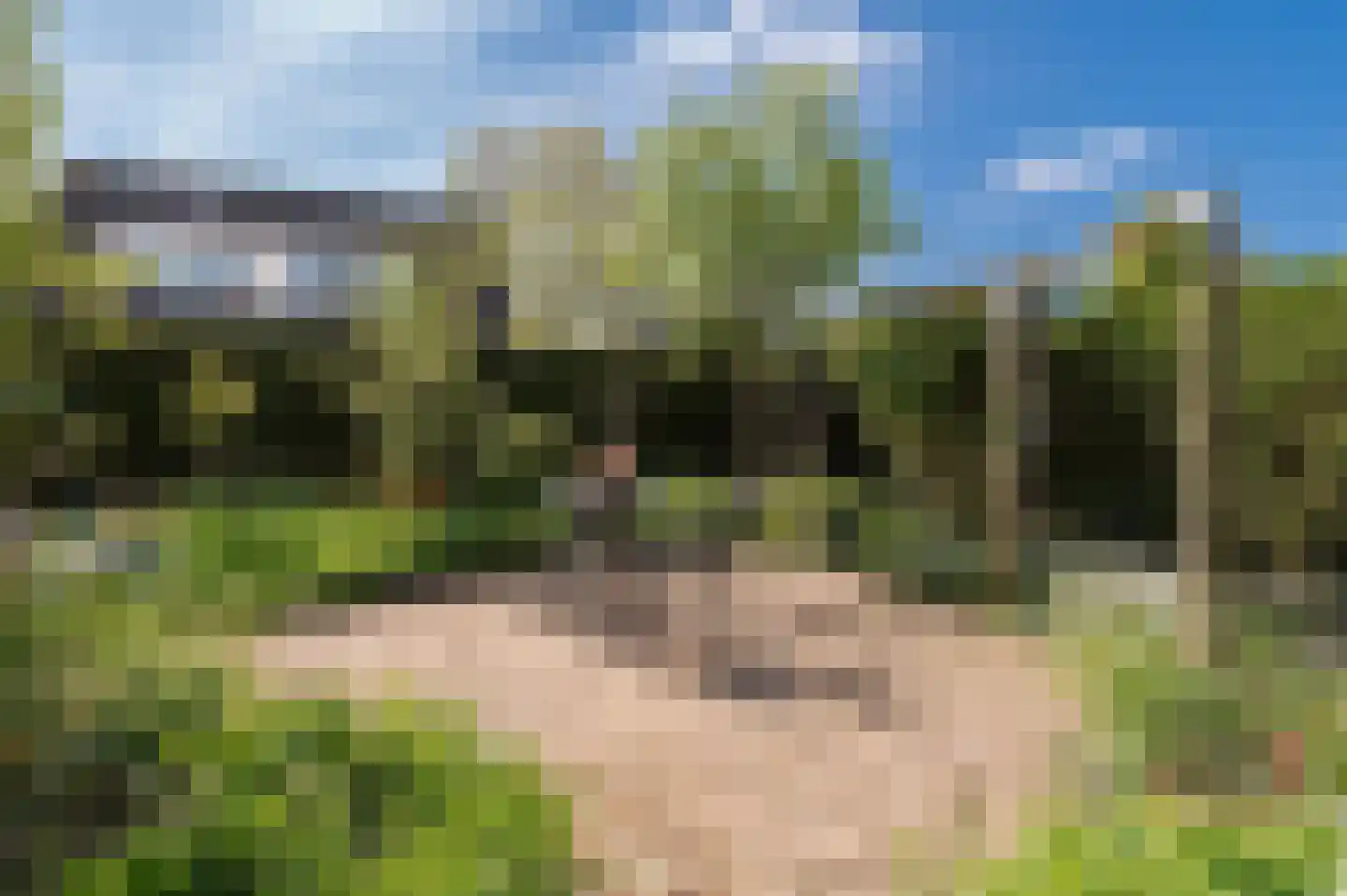 Wilgenhof 34 Giessen thumbnail 7