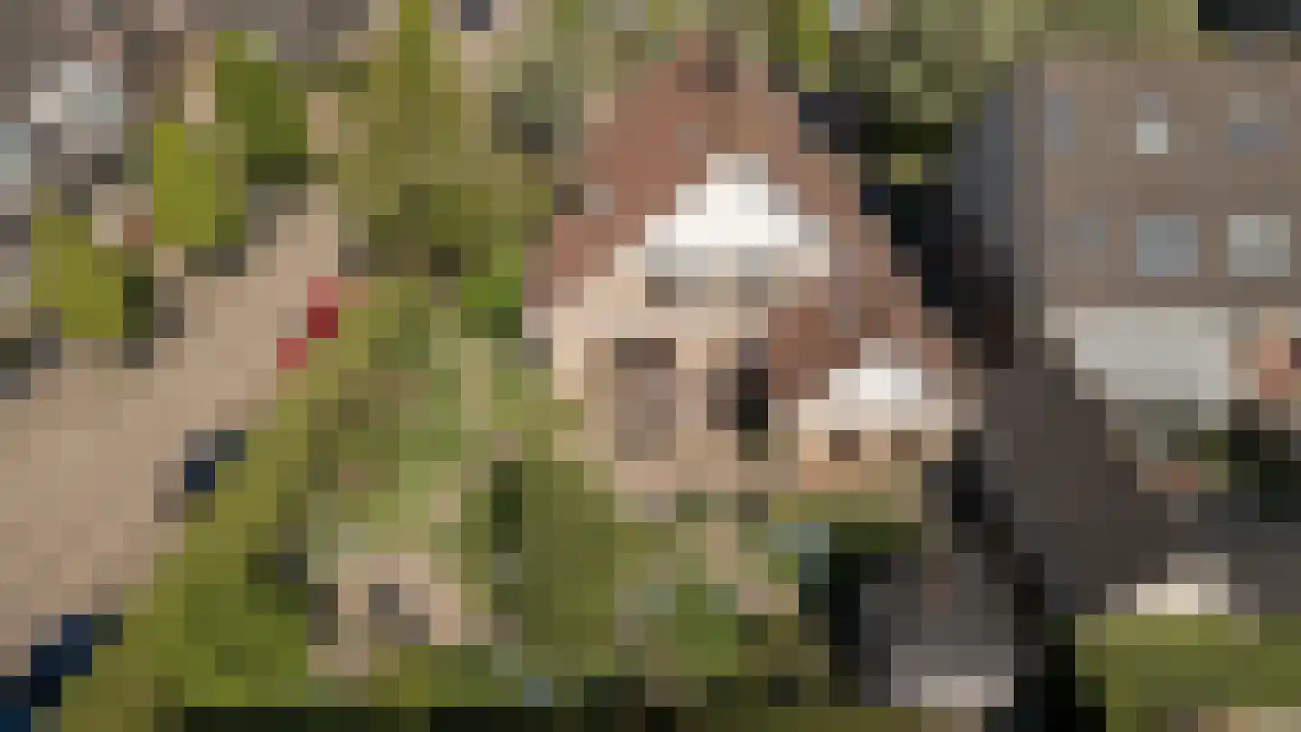 Wilgenhof 34 Giessen thumbnail 8