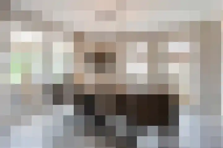 Wilgenhof 35 Harbrinkhoek thumbnail 11