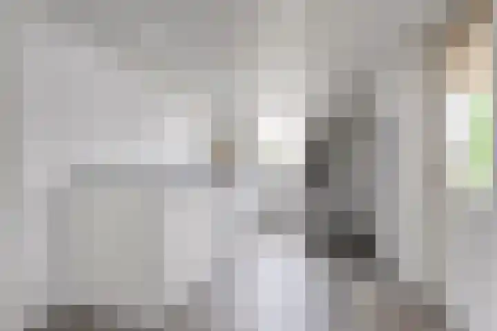 Wilgenhof 35 Harbrinkhoek thumbnail 14