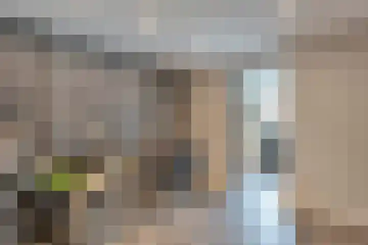Wilgenhof 35 Harbrinkhoek thumbnail 15