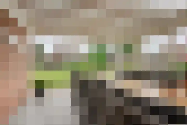 Wilgenhof 35 Harbrinkhoek thumbnail 27