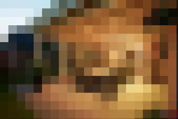 Wilgenhof 35 Harbrinkhoek thumbnail 29