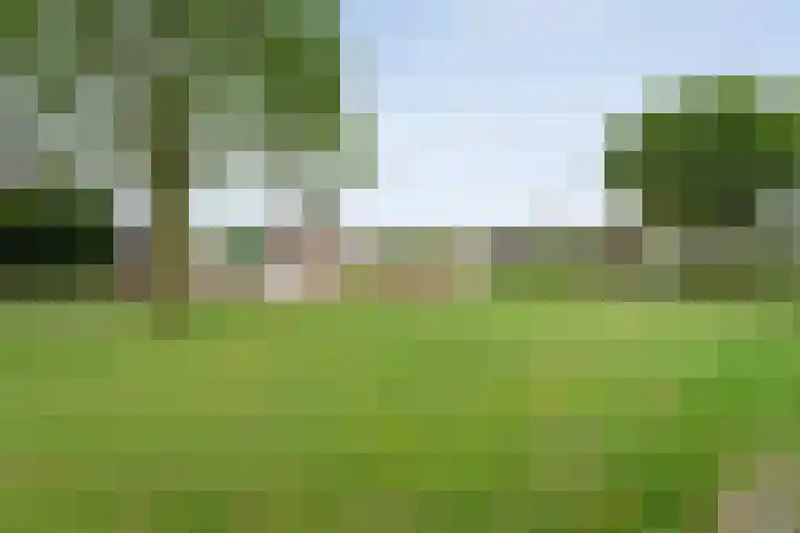 Wilgenhof 35 Harbrinkhoek thumbnail 34