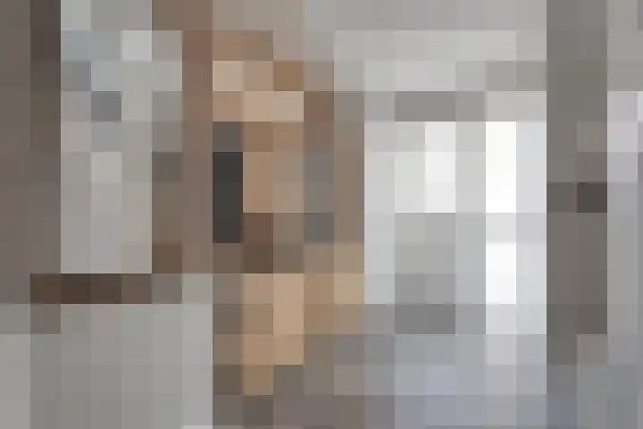 Wilgenhof 35 Harbrinkhoek thumbnail 5