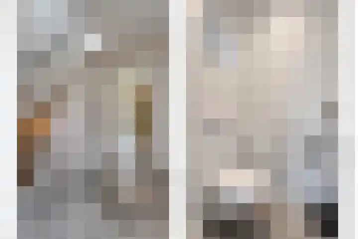 Wilgenhof 35 Harbrinkhoek thumbnail 6