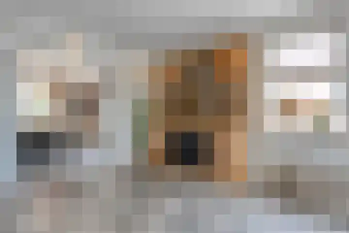 Wilgenhof 35 Harbrinkhoek thumbnail 9