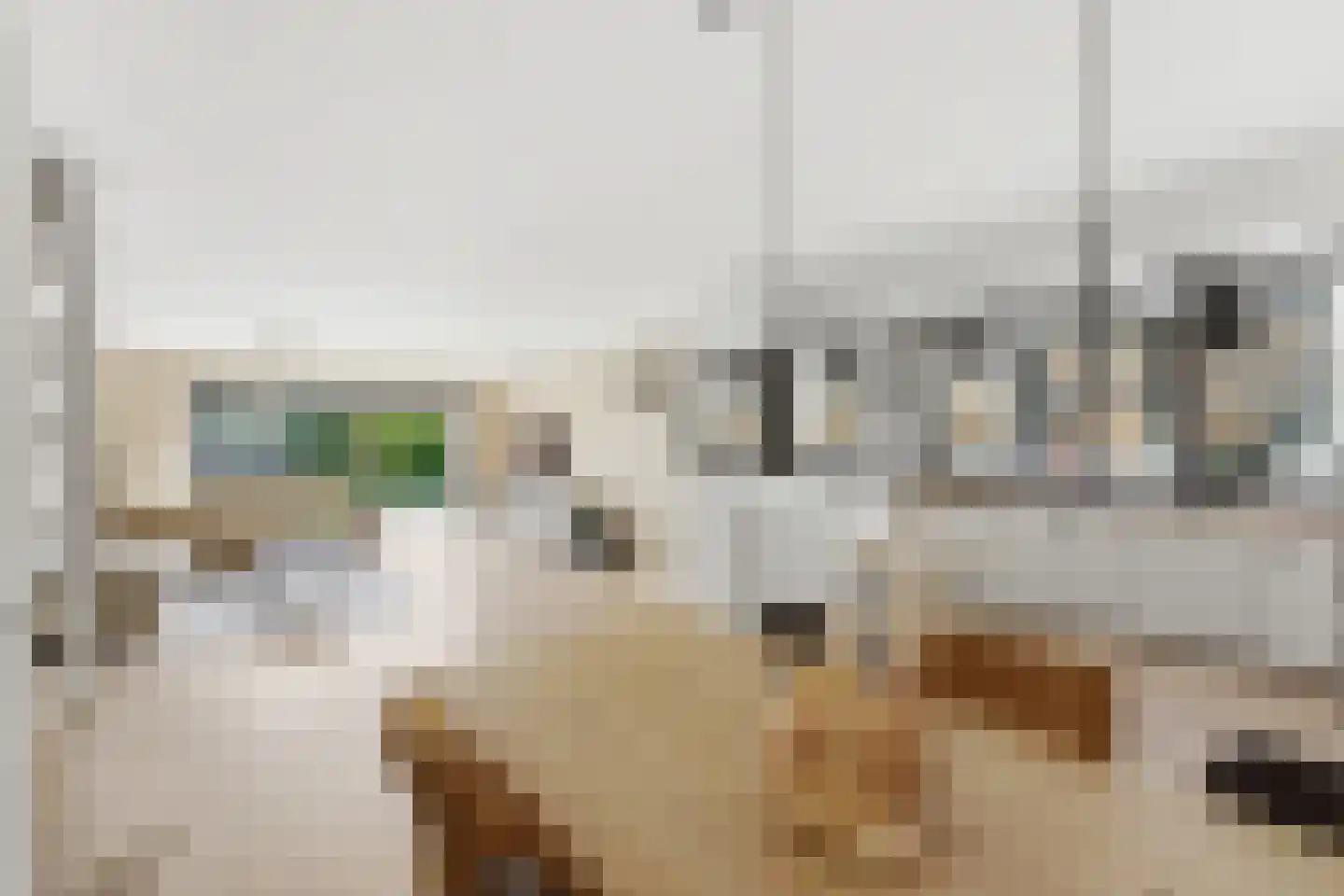 Wilgenhof 350 Papendrecht thumbnail 11