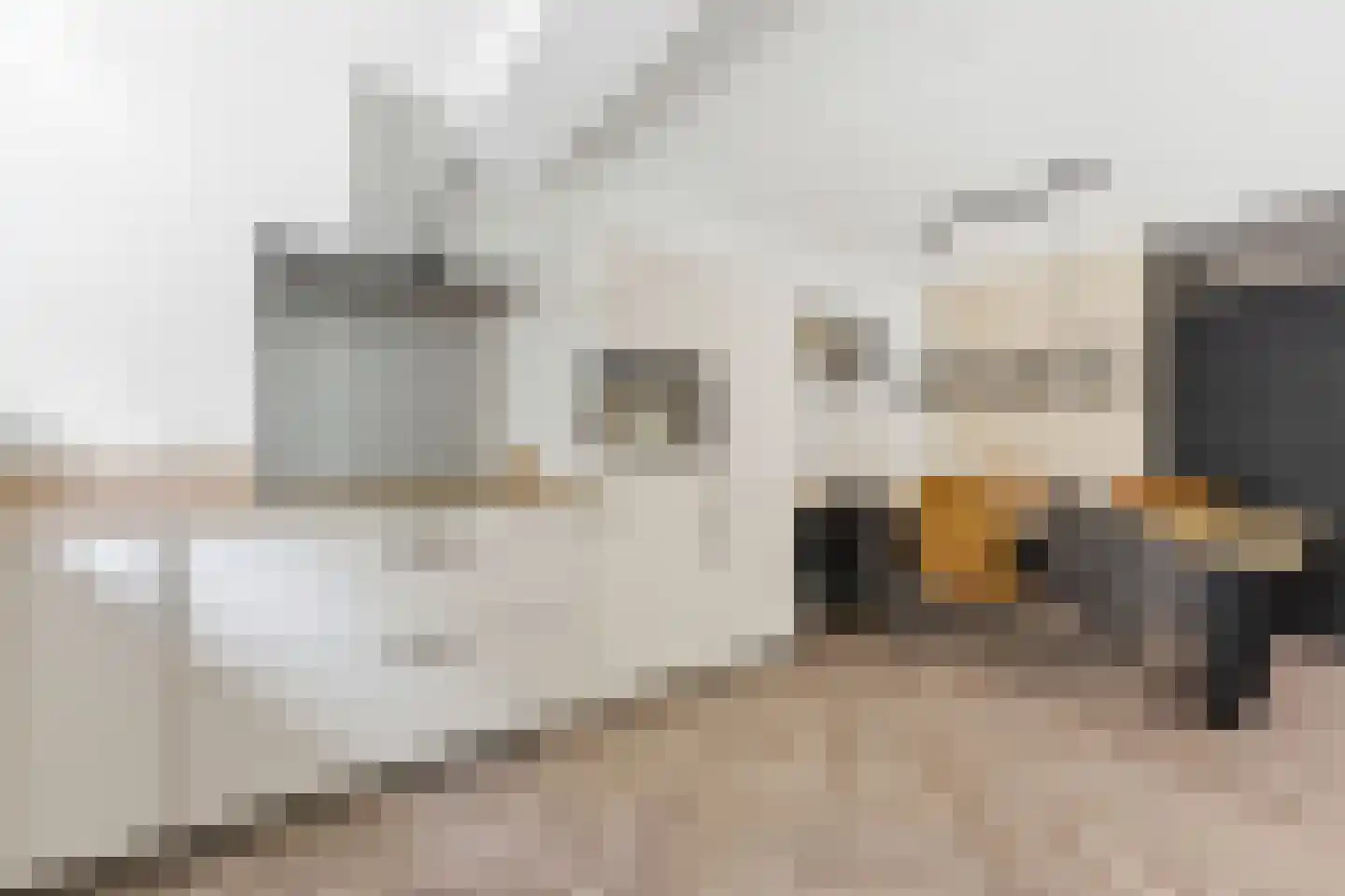 Wilgenhof 350 Papendrecht thumbnail 17