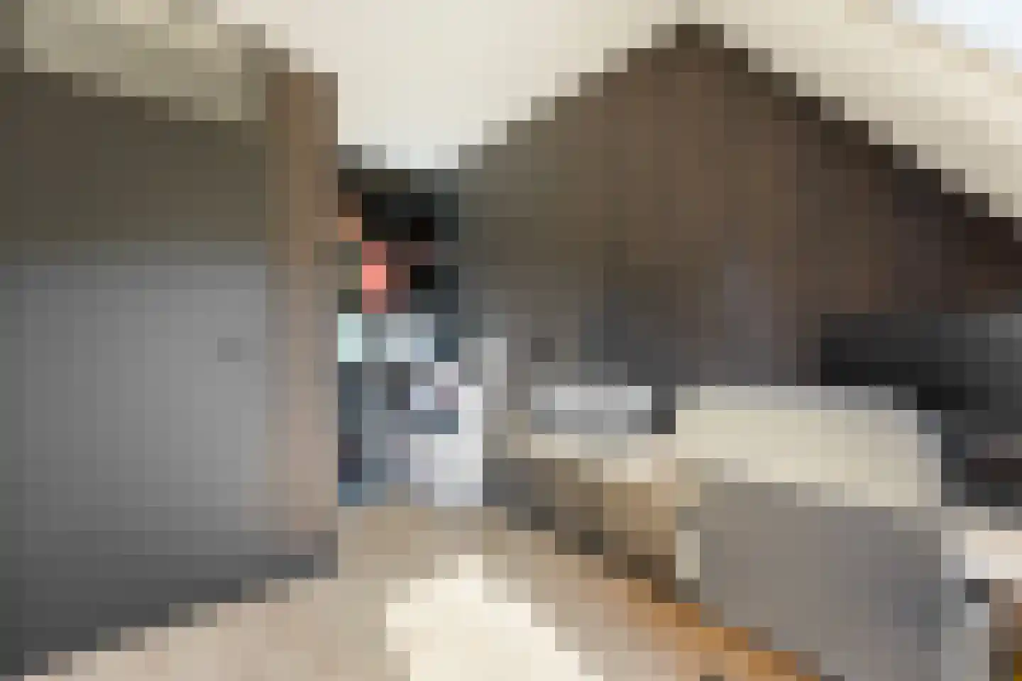 Wilgenhof 350 Papendrecht thumbnail 27