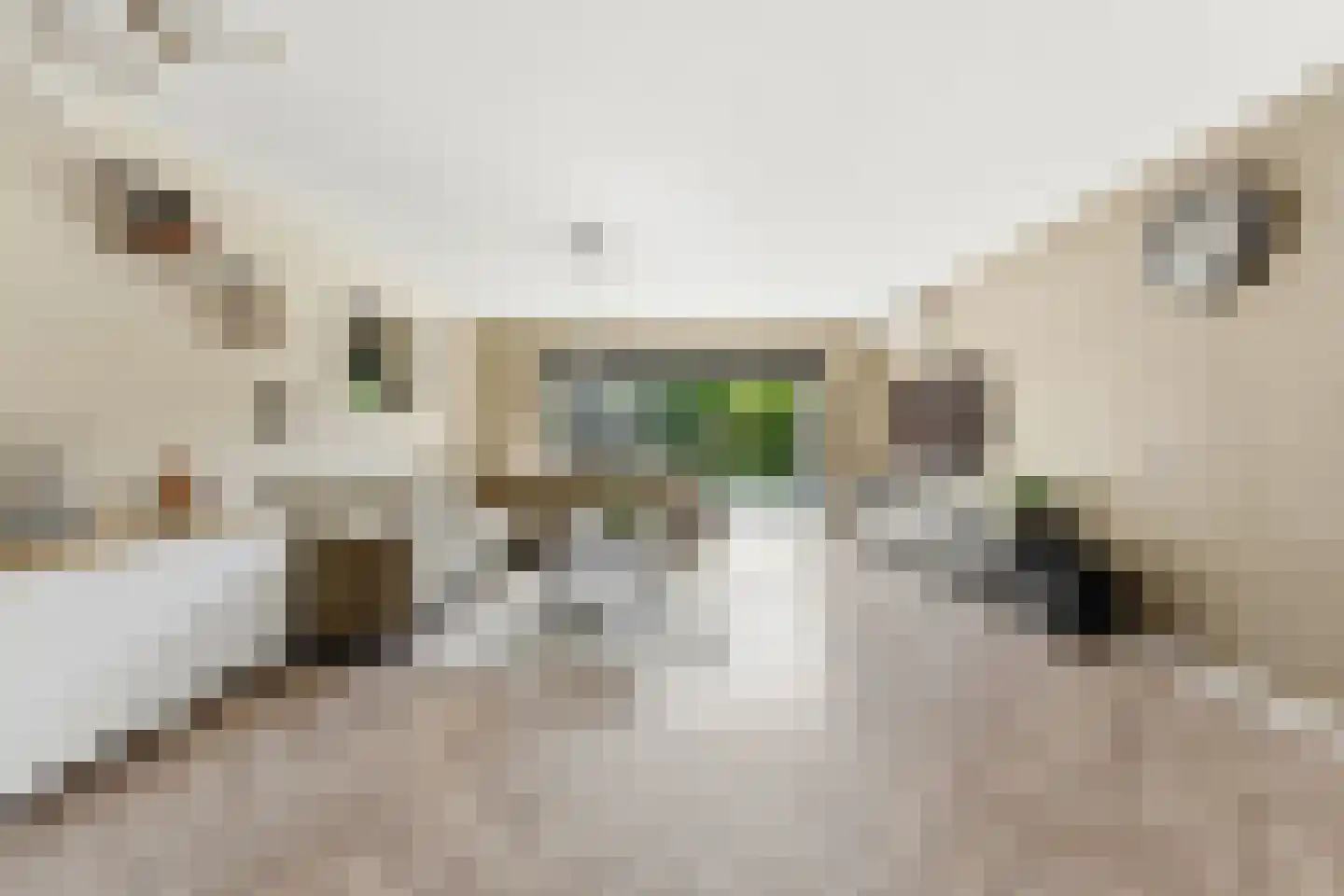 Wilgenhof 350 Papendrecht thumbnail 4
