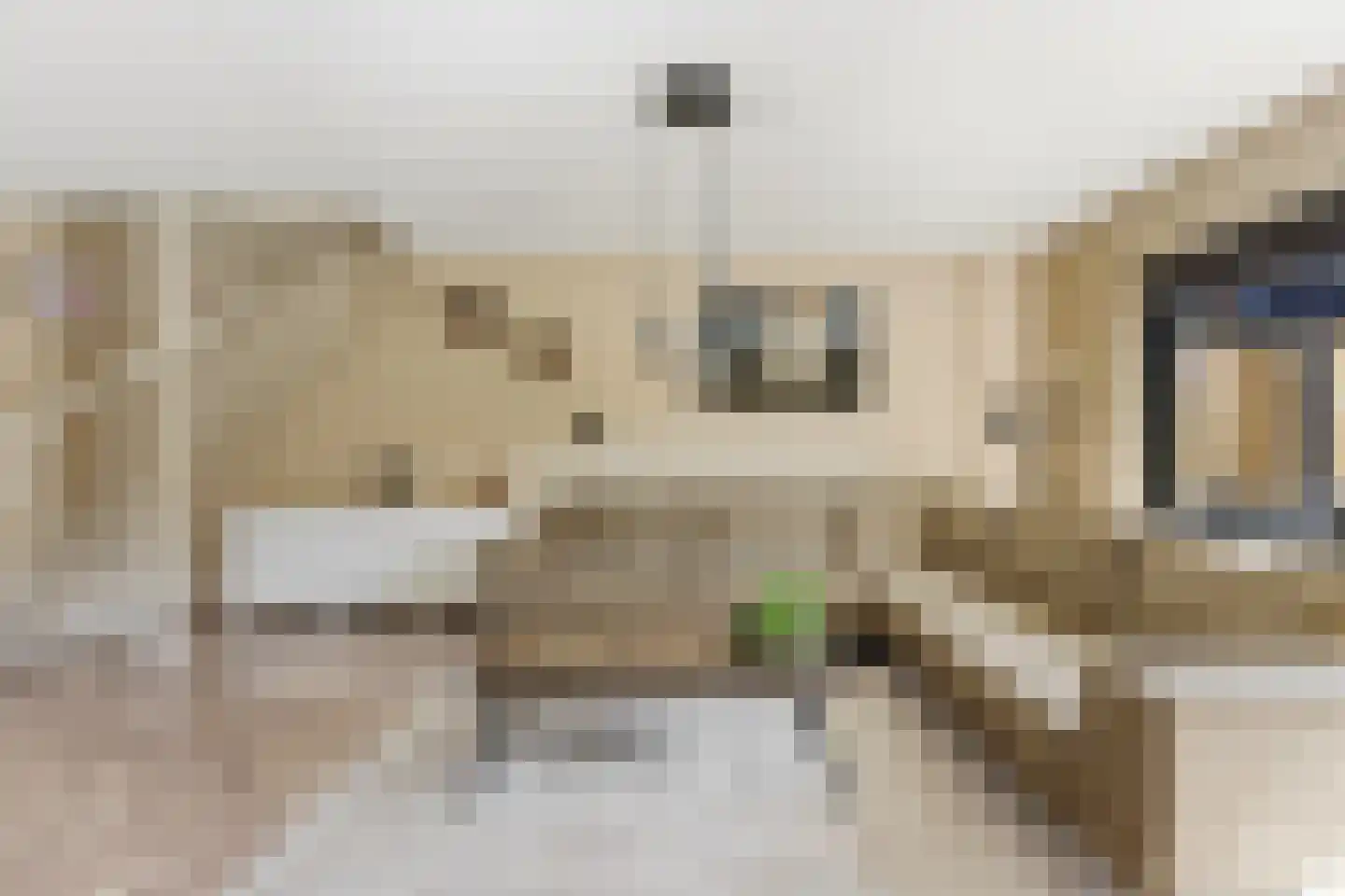 Wilgenhof 350 Papendrecht thumbnail 5