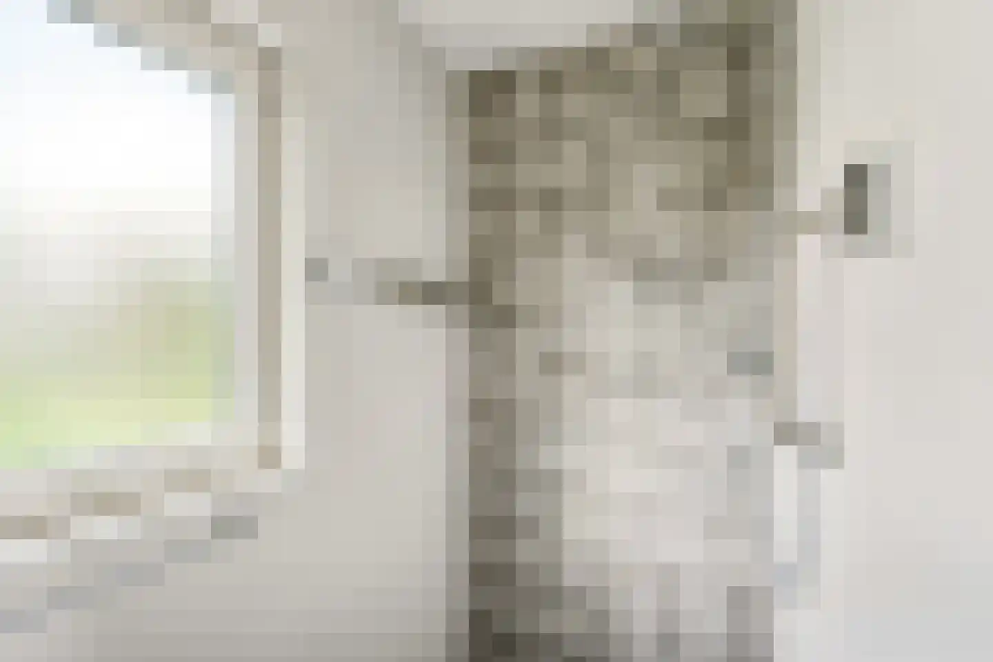 Wilgenhof 36 Hattem thumbnail 31