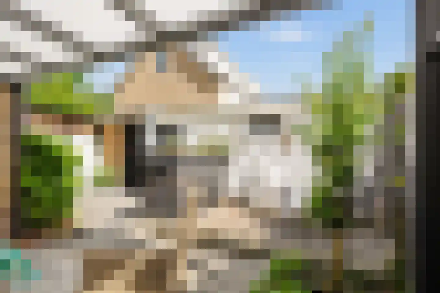 Wilgenhof 36 Hattem thumbnail 42