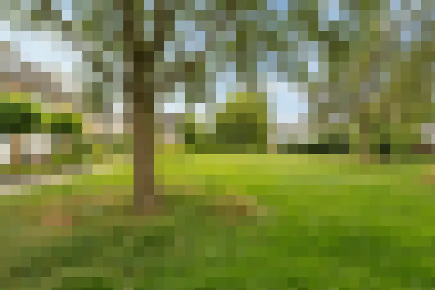 Wilgenhof 36 Hattem thumbnail 52