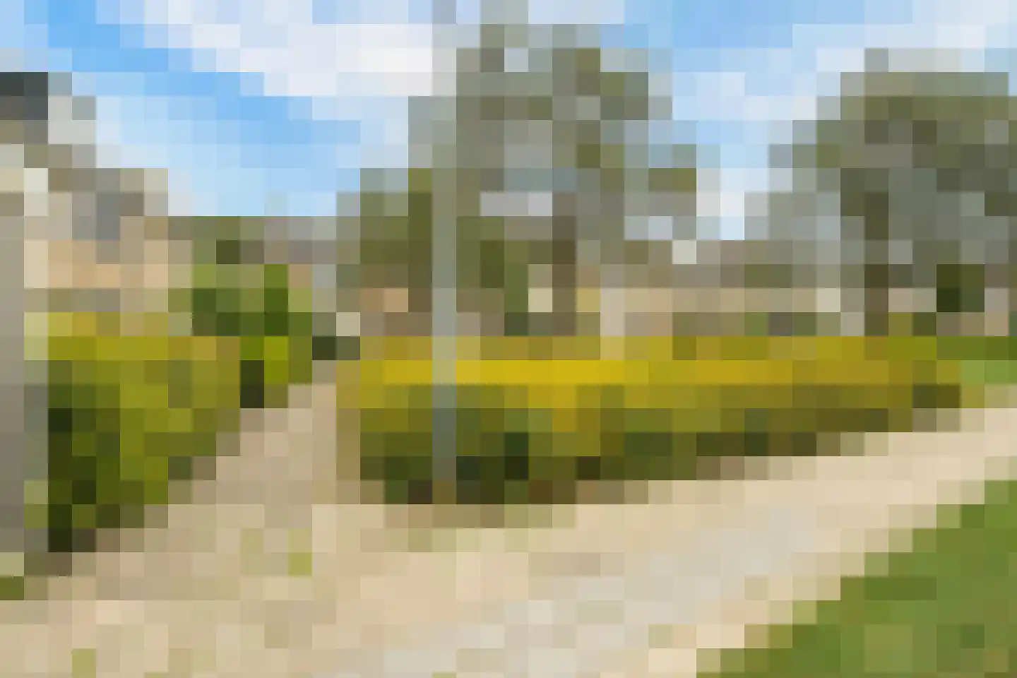 Wilgenhof 36 Hattem thumbnail 54