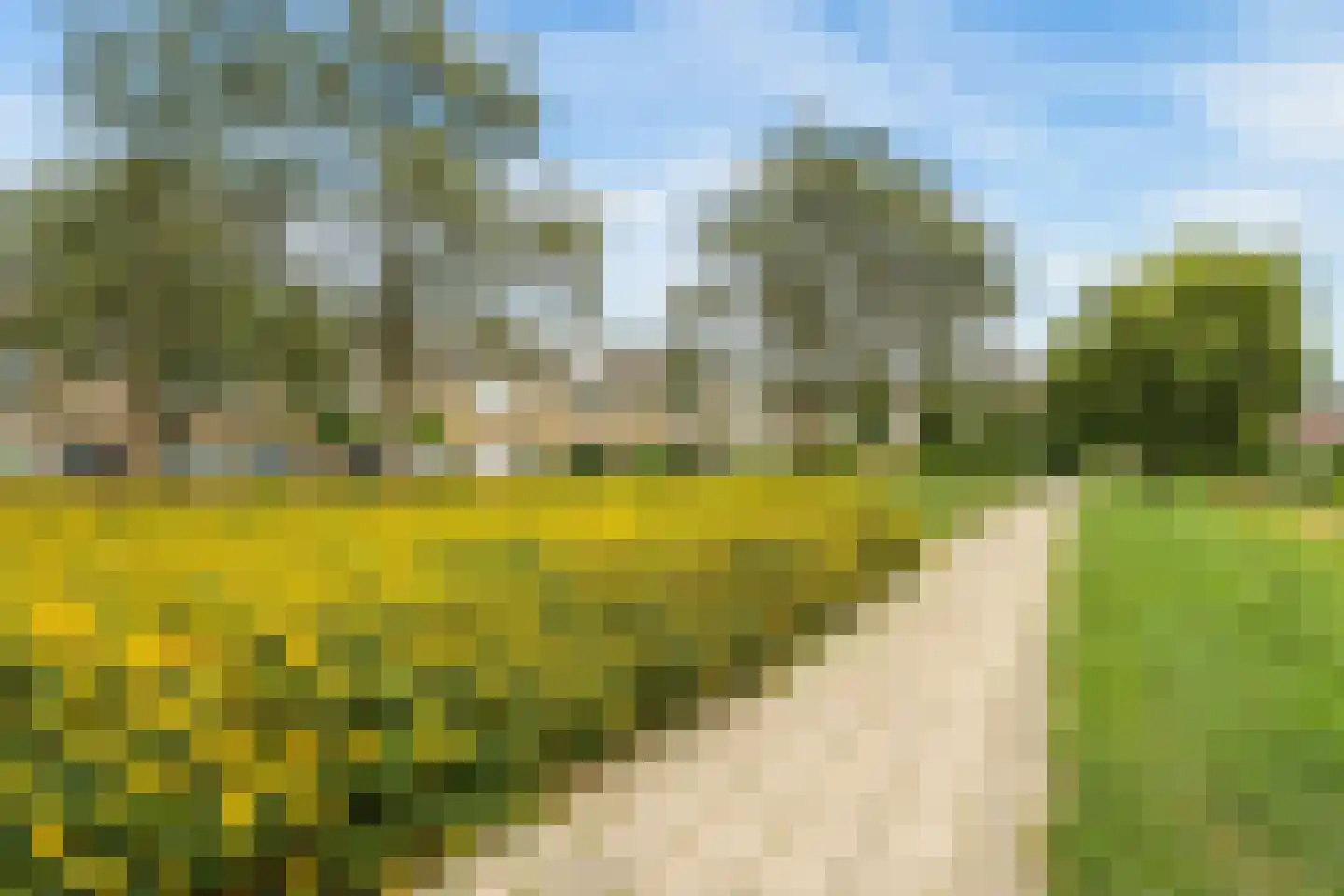 Wilgenhof 36 Hattem thumbnail 56