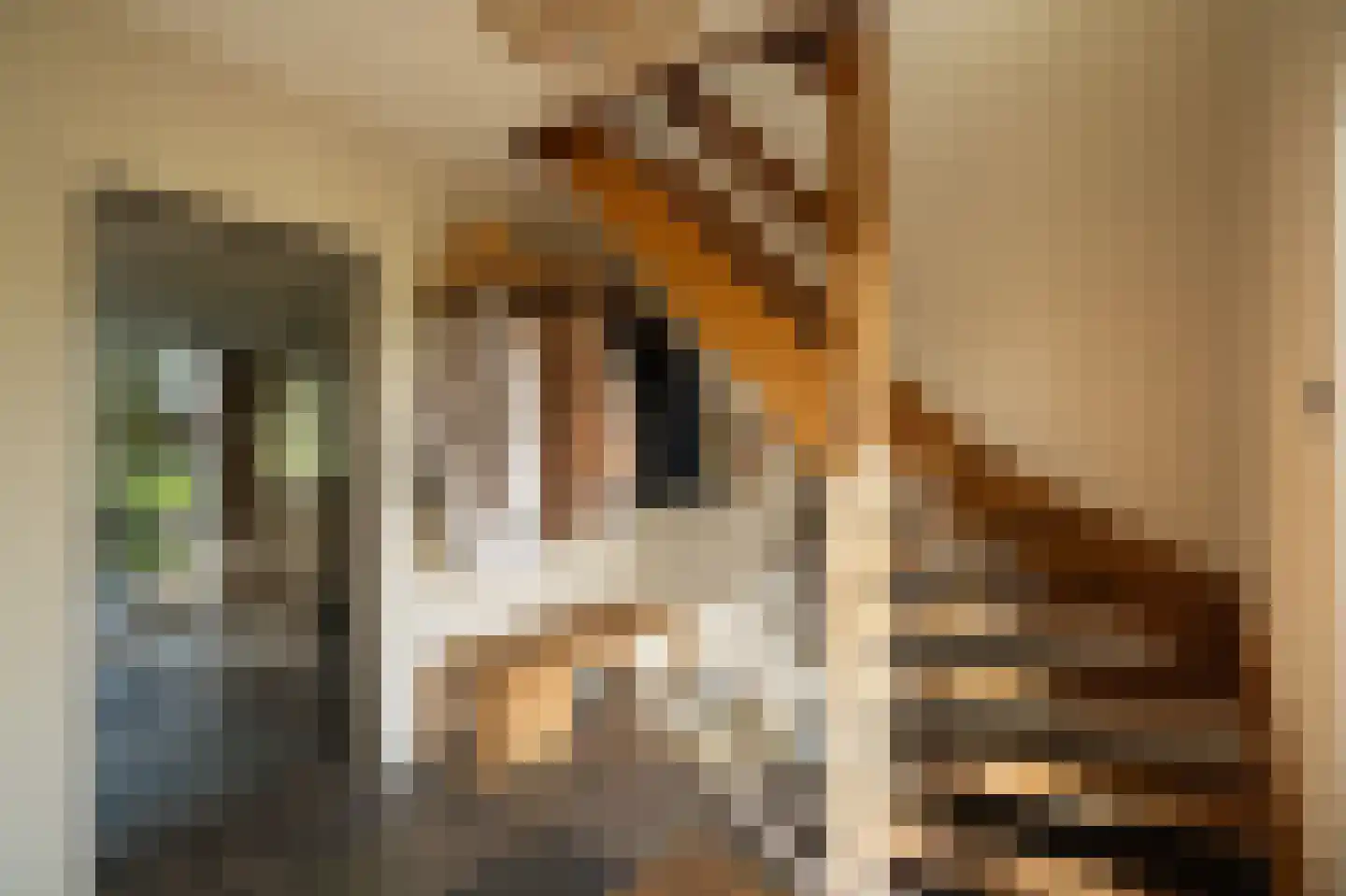 Wilgenhof 43 Giessen thumbnail 10