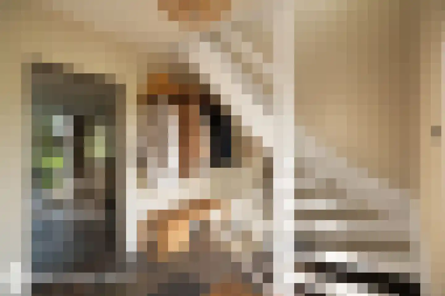Wilgenhof 43 Giessen thumbnail 11
