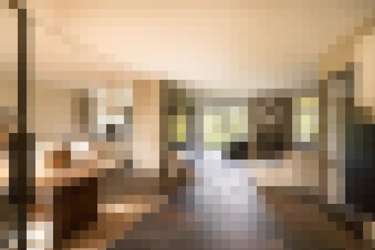 Wilgenhof 43 Giessen thumbnail 12