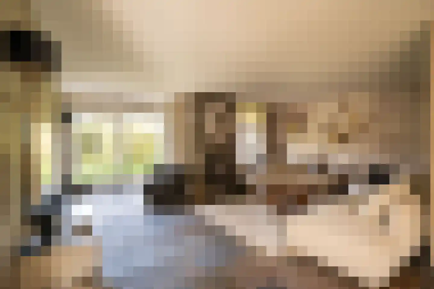 Wilgenhof 43 Giessen thumbnail 13