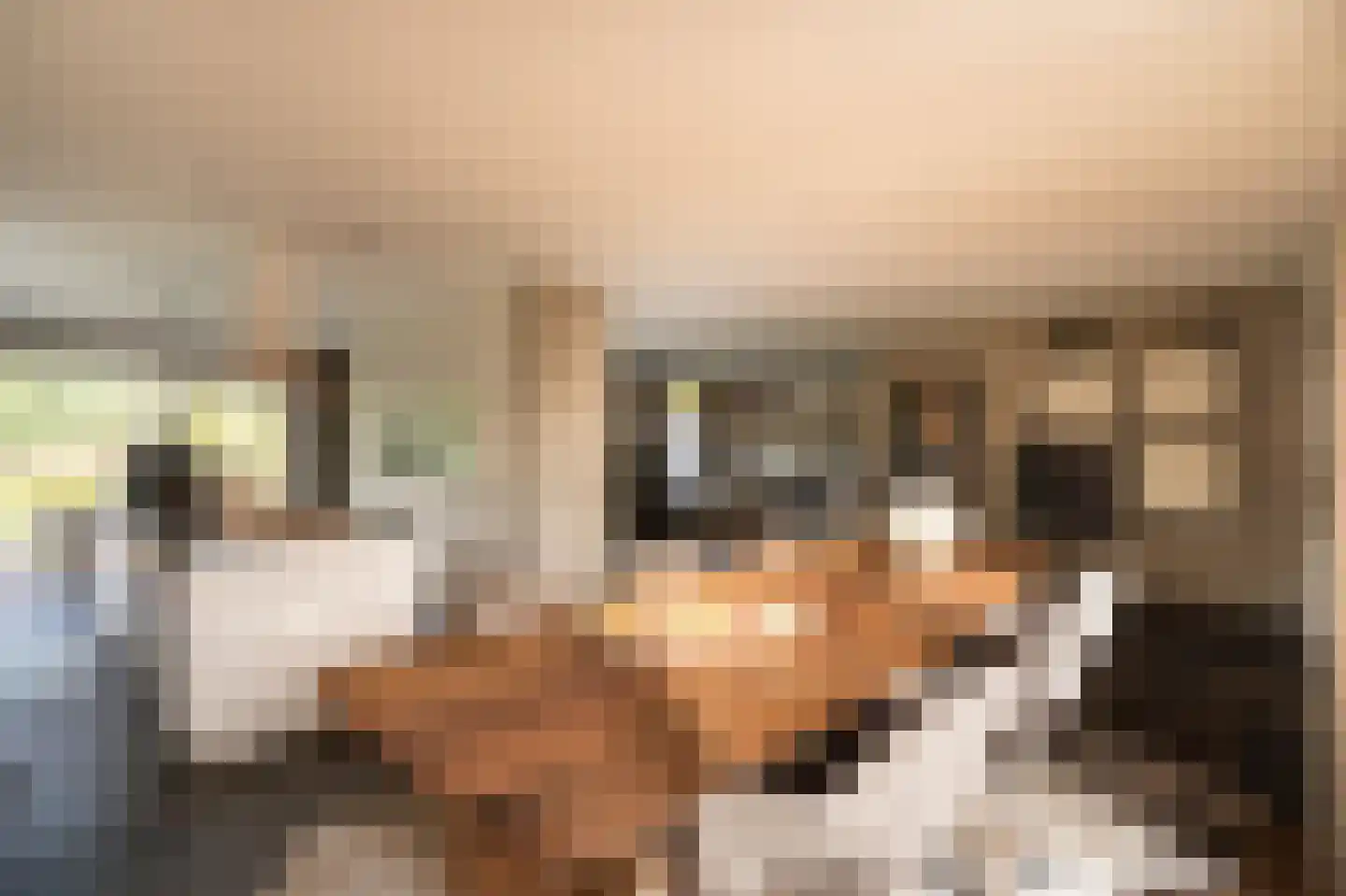 Wilgenhof 43 Giessen thumbnail 14