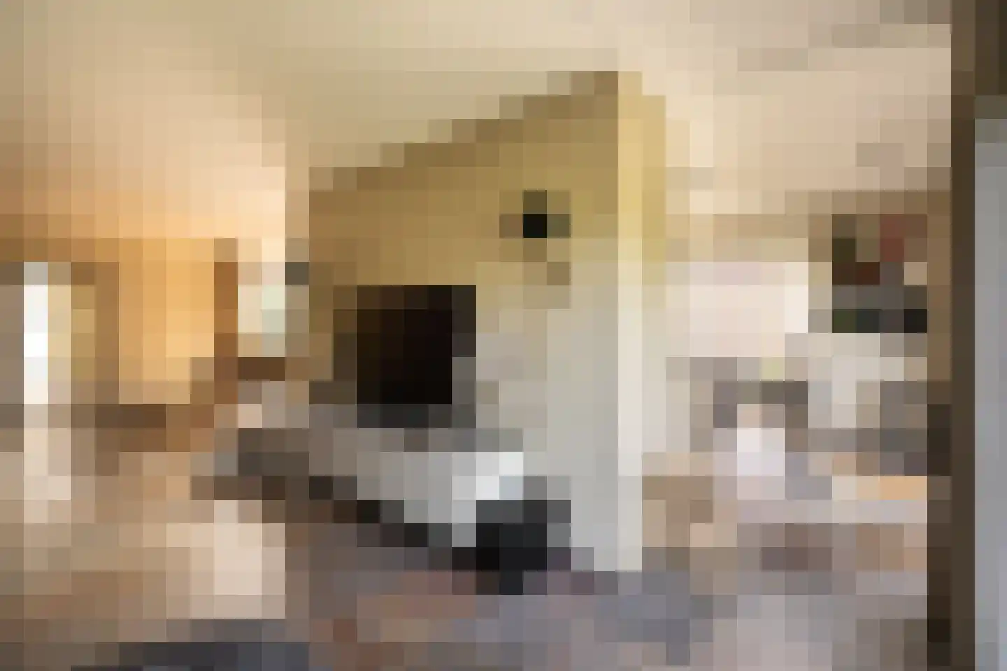 Wilgenhof 43 Giessen thumbnail 19