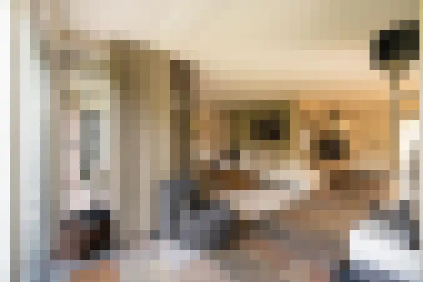 Wilgenhof 43 Giessen thumbnail 20