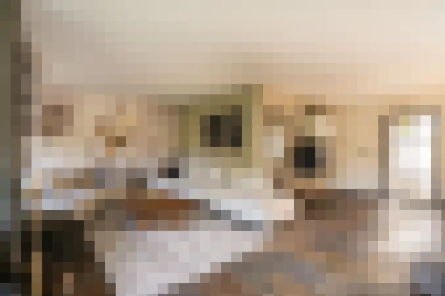 Wilgenhof 43 Giessen thumbnail 22