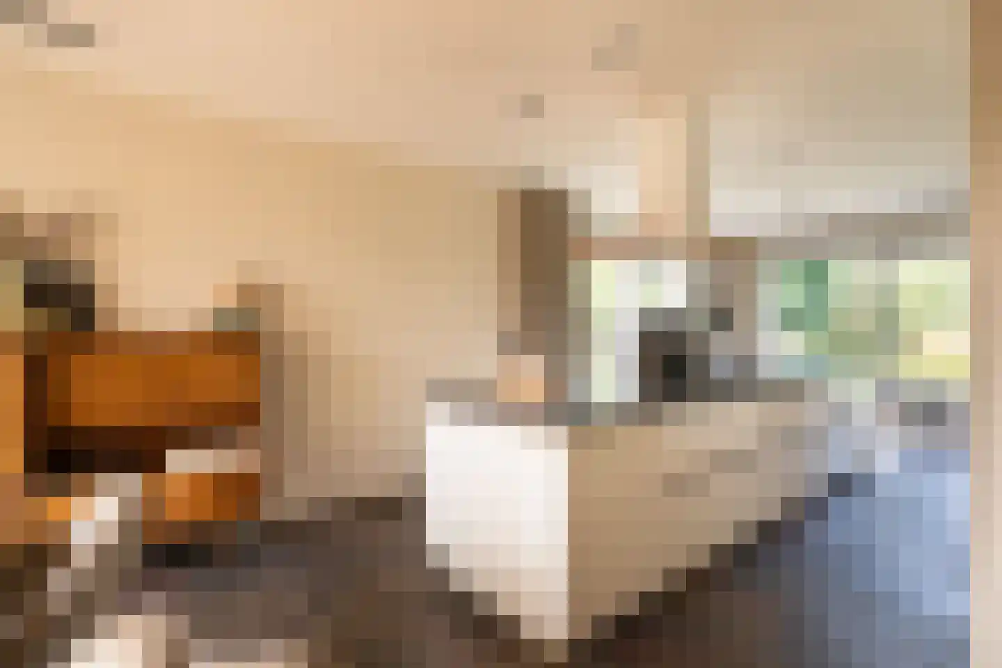 Wilgenhof 43 Giessen thumbnail 24