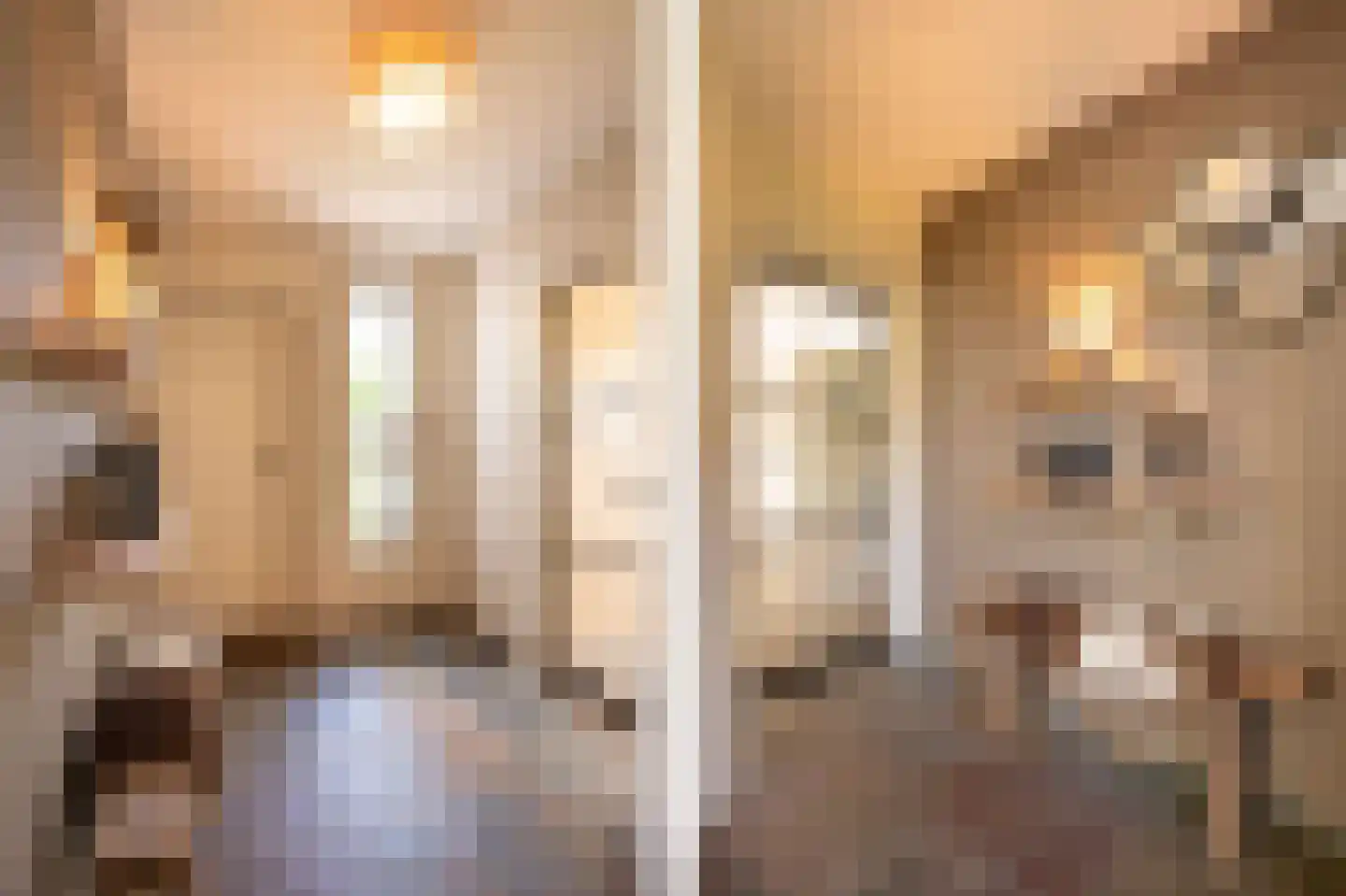 Wilgenhof 43 Giessen thumbnail 28