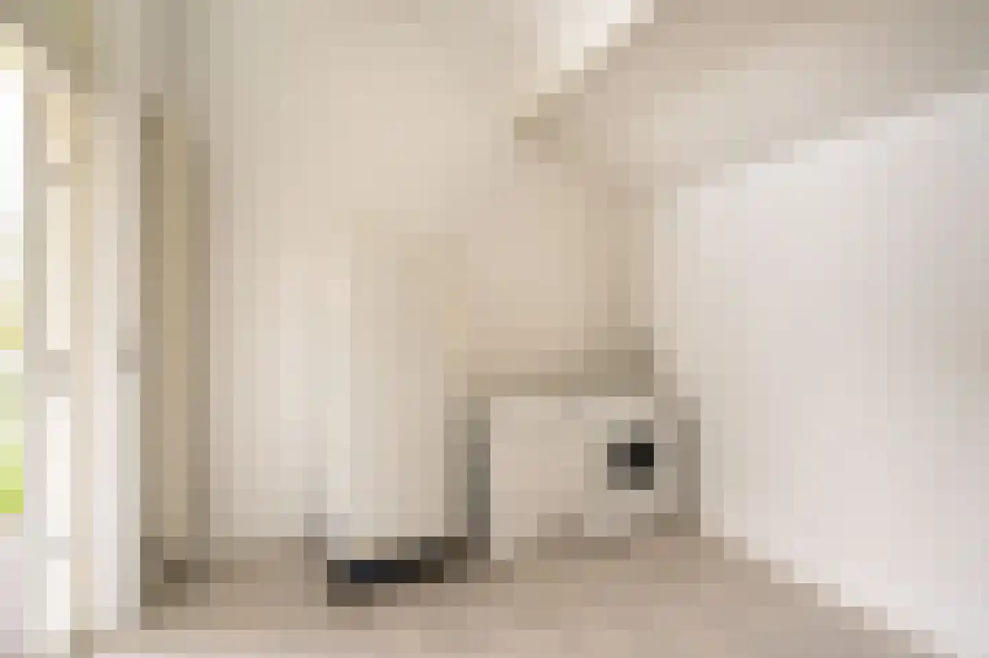 Wilgenhof 43 Giessen thumbnail 31