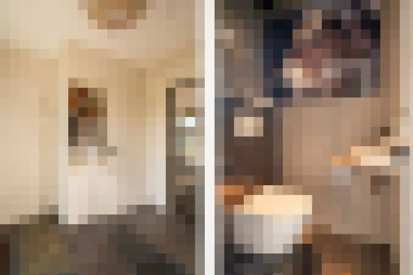 Wilgenhof 43 Giessen thumbnail 32
