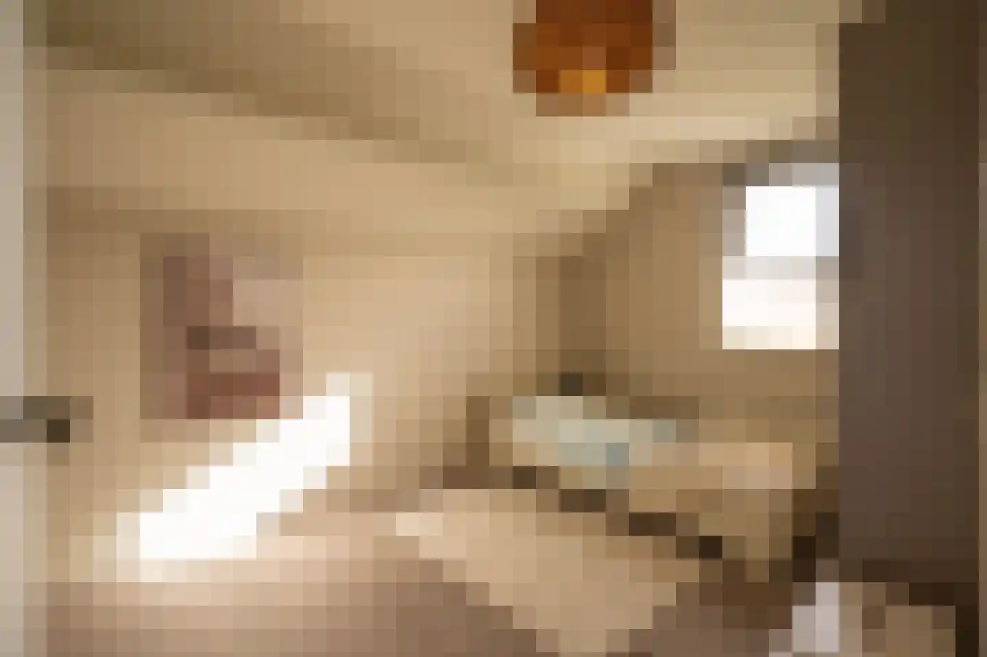 Wilgenhof 43 Giessen thumbnail 36