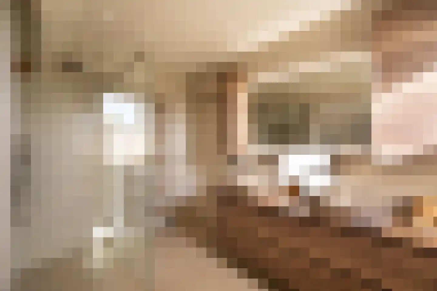 Wilgenhof 43 Giessen thumbnail 39