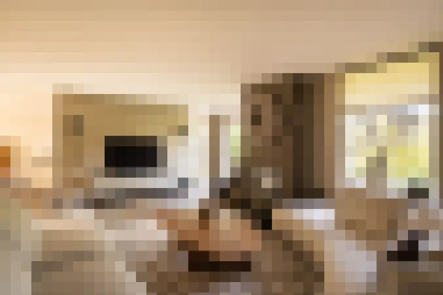 Wilgenhof 43 Giessen thumbnail 4