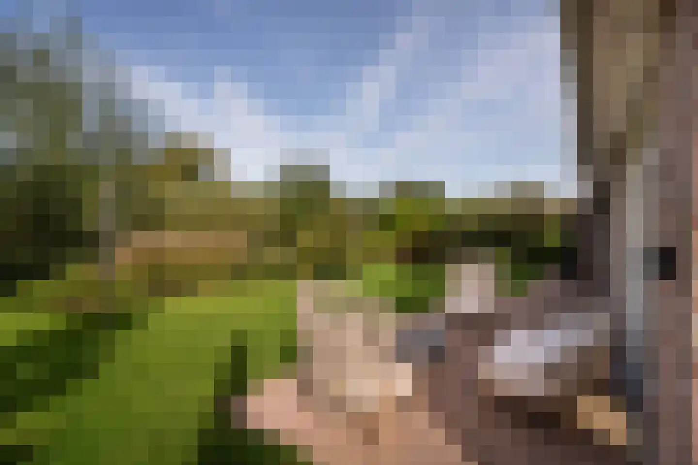 Wilgenhof 43 Giessen thumbnail 52
