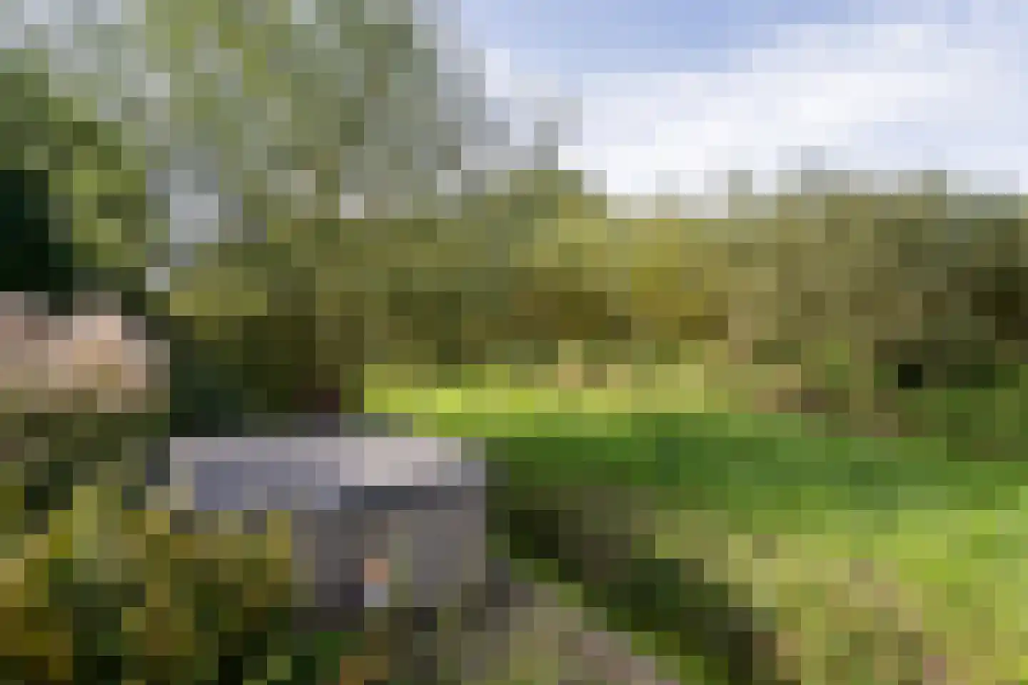 Wilgenhof 43 Giessen thumbnail 54