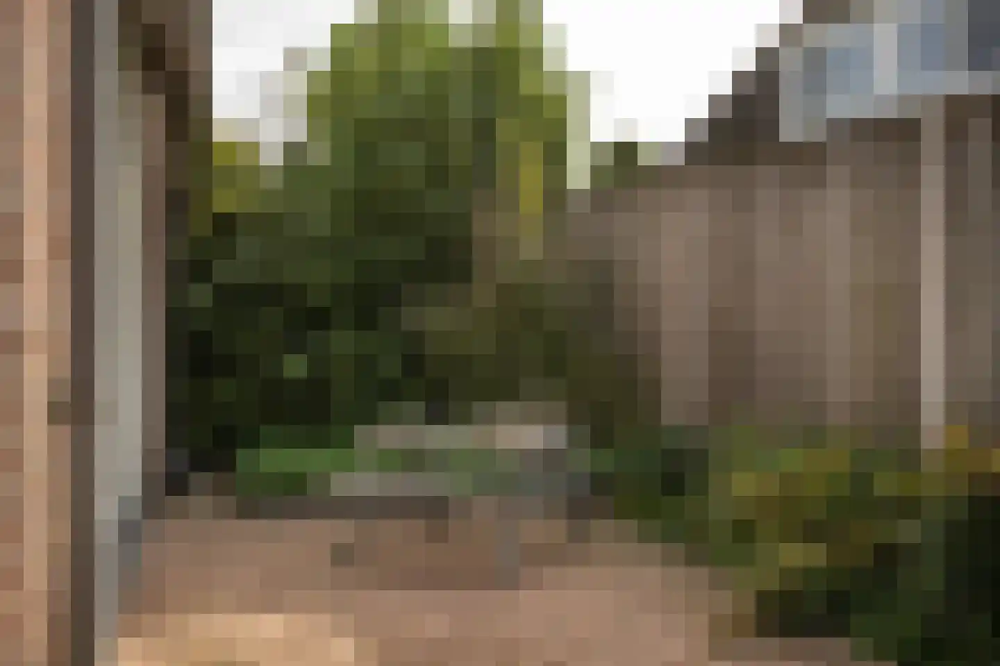 Wilgenhof 43 Giessen thumbnail 55
