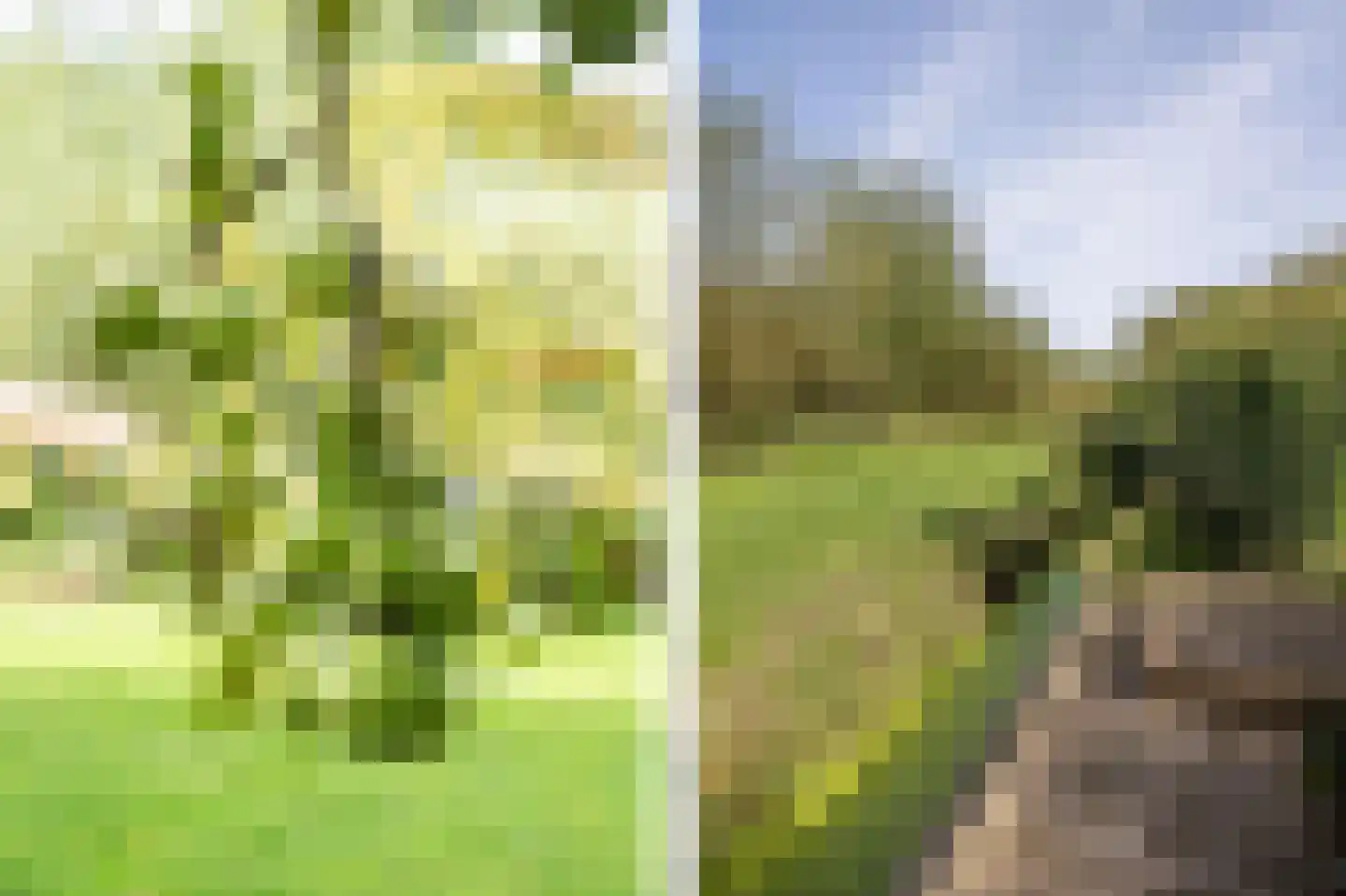 Wilgenhof 43 Giessen thumbnail 59
