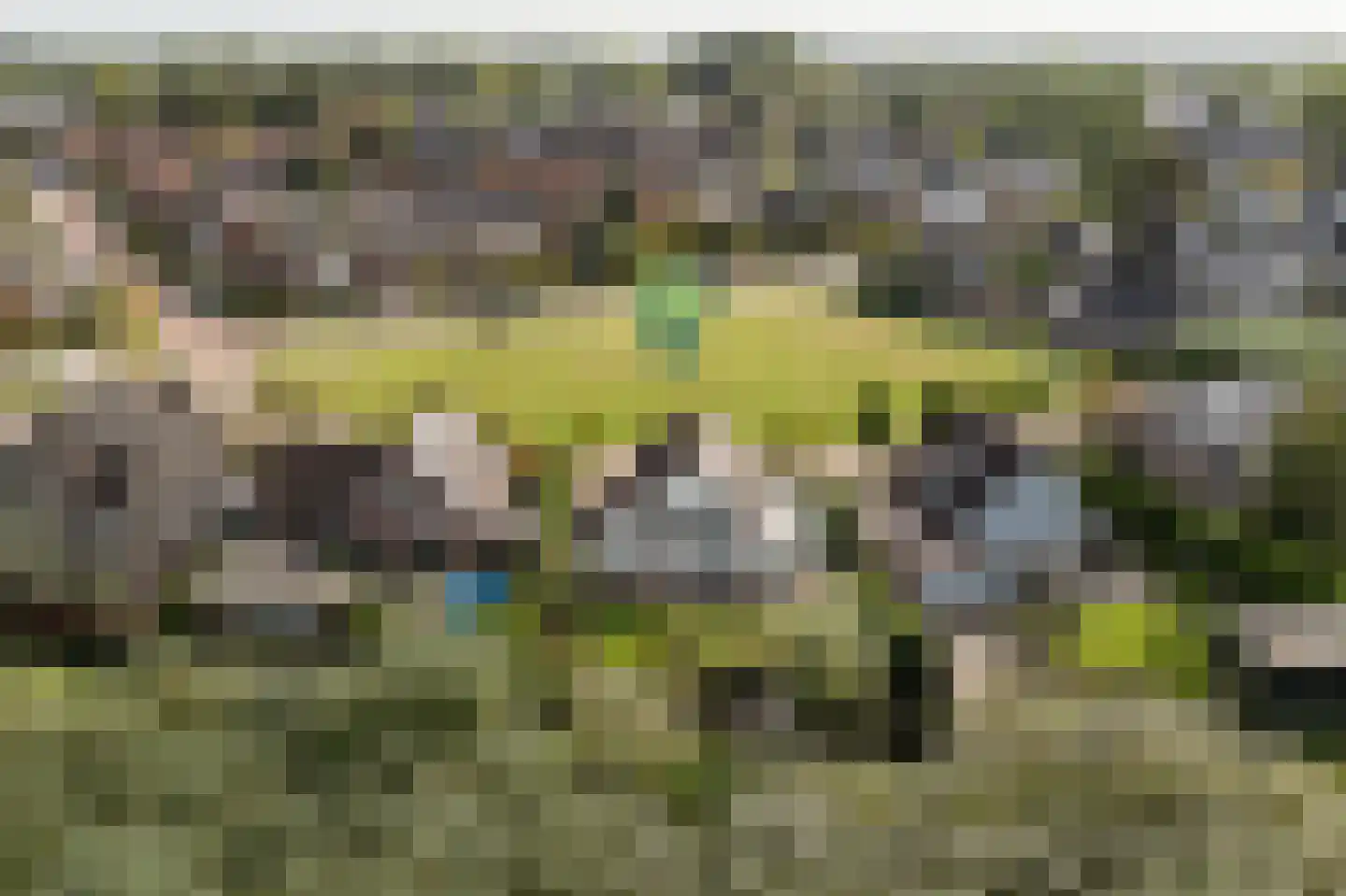Wilgenhof 43 Giessen thumbnail 60